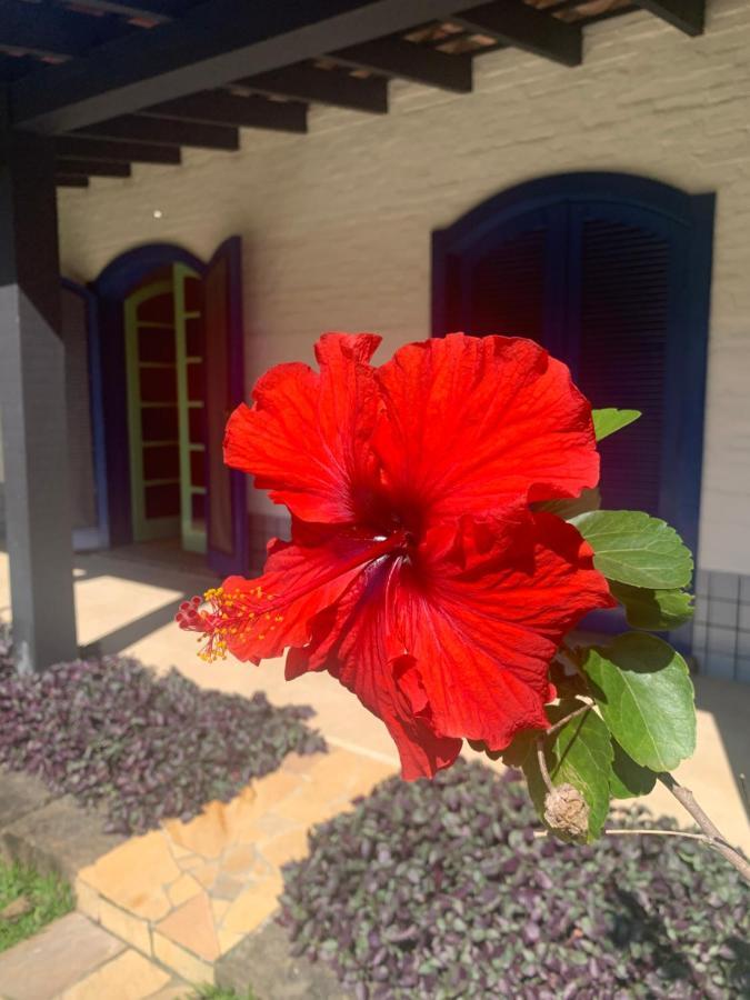 Ubatuba _ Vivencie Nossa Energia Villa Eksteriør bilde